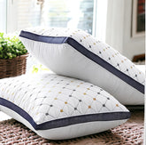 Pack of 2 luxury Decorative pillows