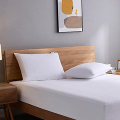 Pack of 2 Cotton Terry Waterproof Pillow